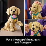 LEGO Icons Golden Retriever Puppy Building Set for Adults Ages 18 Gift for Birthdays Decor for Home Bedroom or Book Shelf Posable Dog Figure 11384