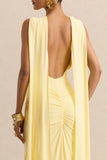 Premiere Lemon Boat Neck Maxi Dress With Cape Sleeves And Open Back