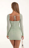 Mesh Long Sleeve Bodycon Dress in Green