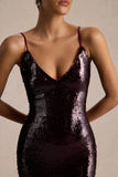 Lenor Burgundy Plunge Neck Maxi Dress