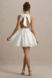 Waverly White Racer Neck Sleeveless Skater Mini Dress