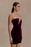Paulina Velvet Strapless Mini Dress Wine