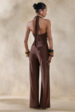 Clemence Brown Plunge Neck Jumpsuit