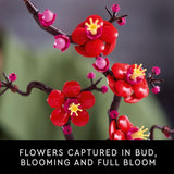 LEGO Botanicals Plum Blossom Building Sets for Adults Artificial Flower for Dinner Table Centerpiece Living Room Home Decor Ages 18 DIY Craft Kits Gift for Birthdays 10369