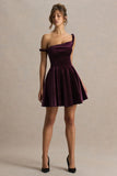 Leticia Burgundy Velvet Asymmetric Neck Velvet Mini Dress With Twist Sleeve