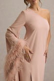 Armina Blush Pink One Shoulder Feather Trim Maxi Dress