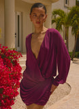 Ettah Long Sleeve Top Plum