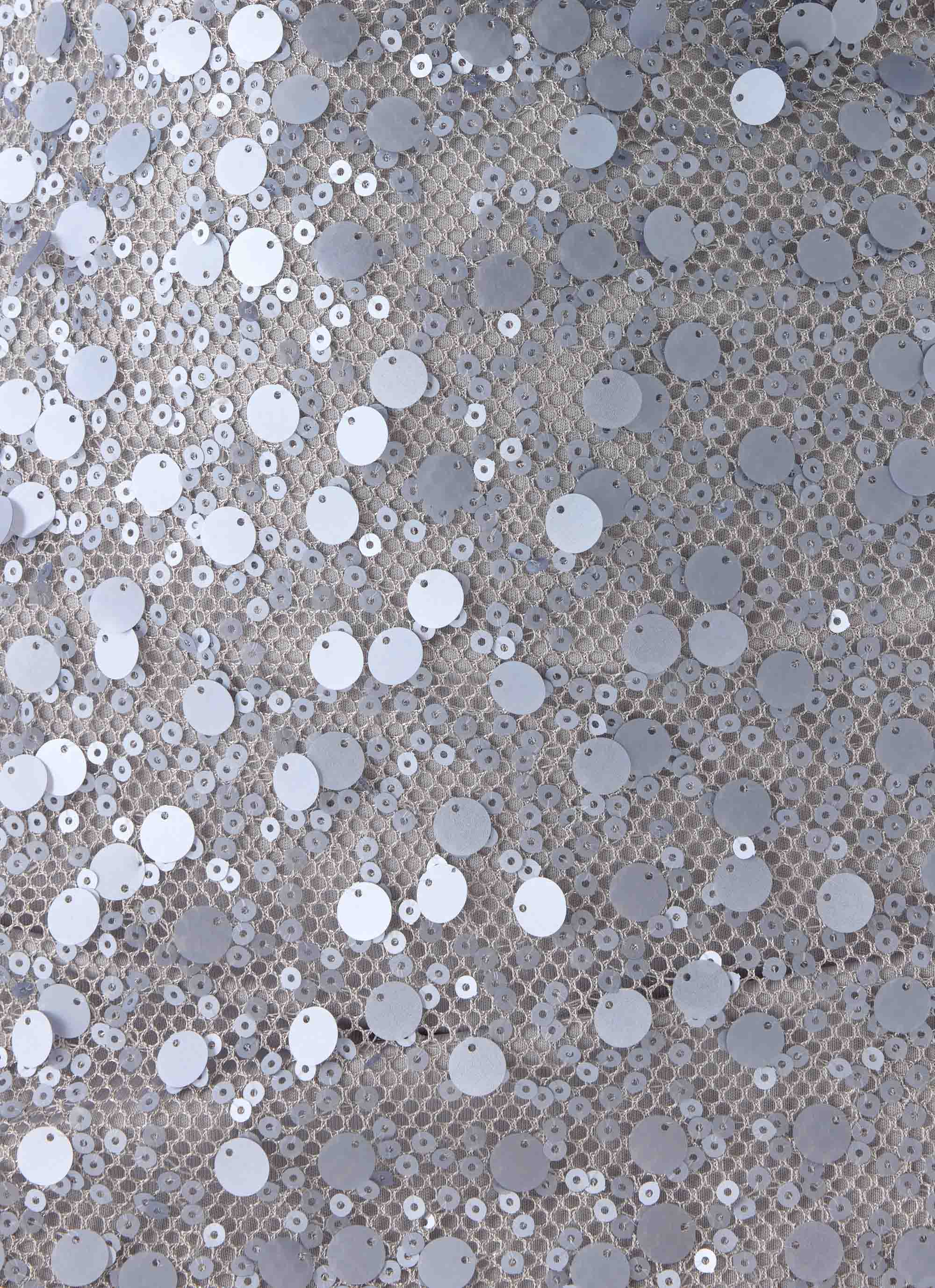 Danali Mini Dress Silver