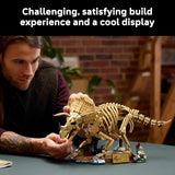 LEGO Jurassic World Dinosaur Fossils