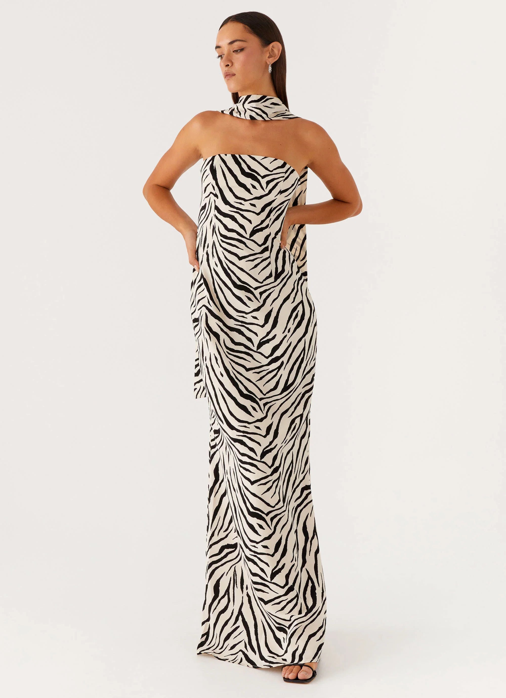 Jigsaw Strapless Maxi Dress Zebra