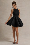 Waverly Black Racer Neck Sleeveless Skater Mini Dress