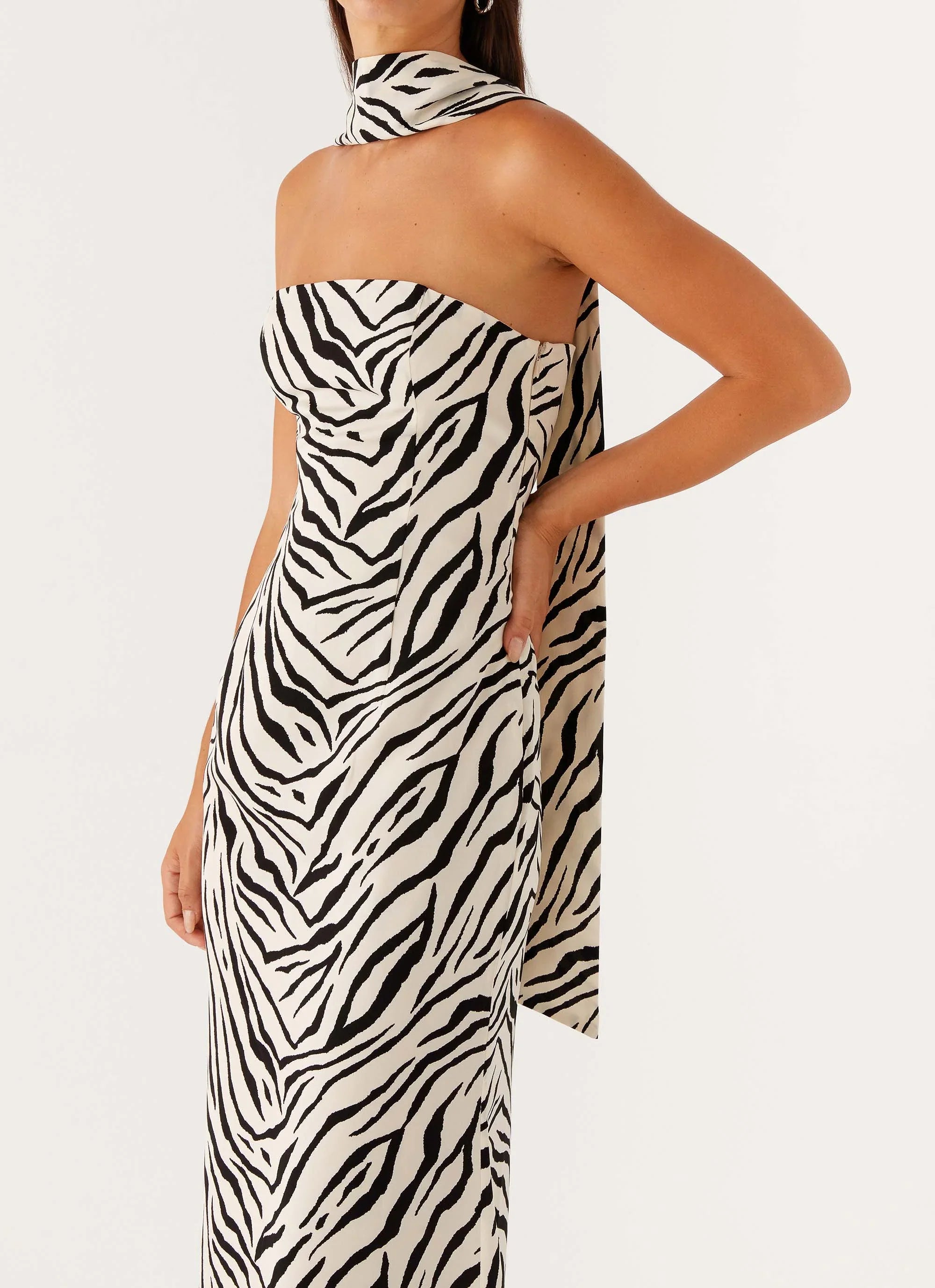 Jigsaw Strapless Maxi Dress Zebra