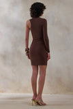 Siren Brown One Shoulder Bodycon Dress
