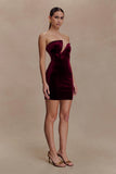 Paulina Velvet Strapless Mini Dress Wine