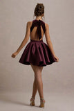 Mackie Port Velvet Sleeveless Skater Mini Dress