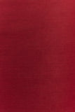 Aoife Mesh Maxi Skirt Raspberry