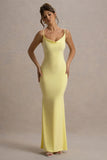 Francoise Lemon Cowl Neck Backless Maxi Dress With Lace Insert