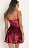 Perrie Velvet A line Dress in Merlot