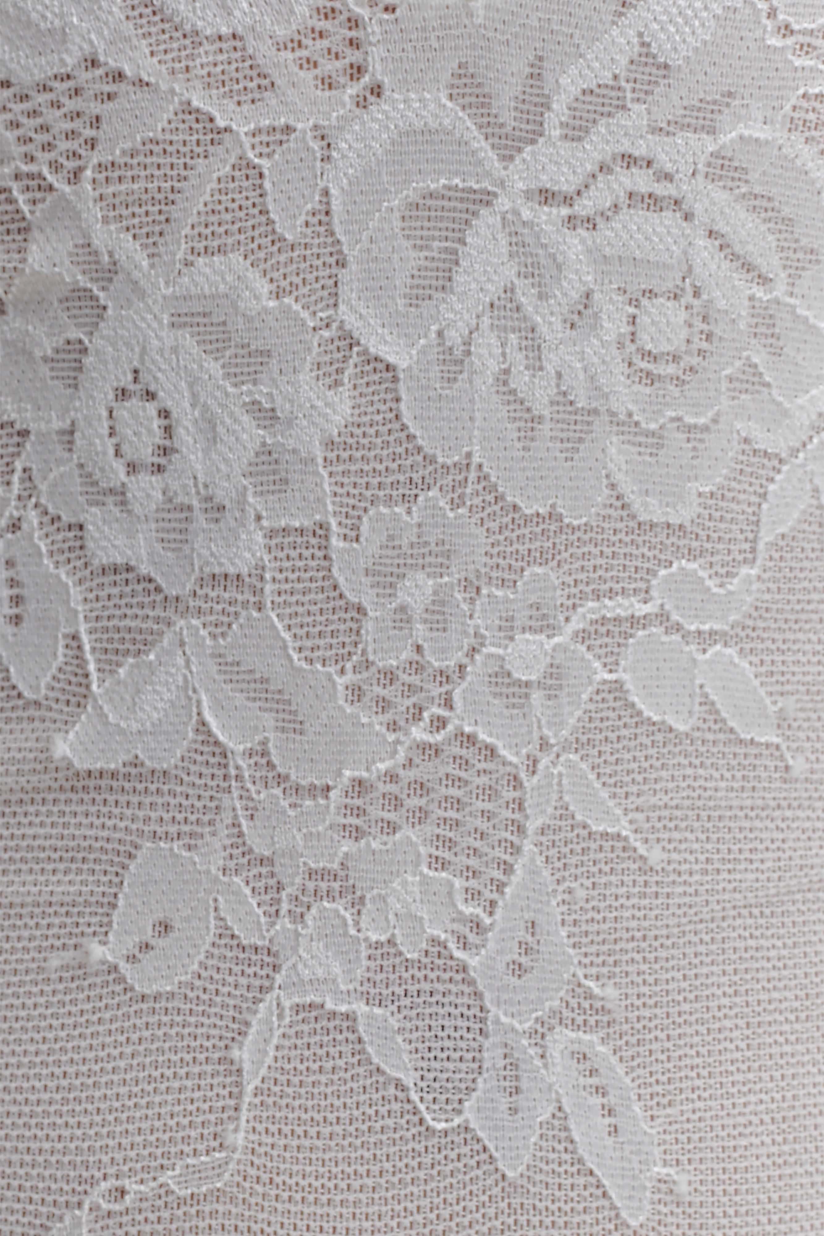 Jasper Sheer Plunge Lace Bodysuit Ivory