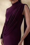 Oliria Dark Plum High Neck Maxi Dress With One Long Sleeve And Sash Detail