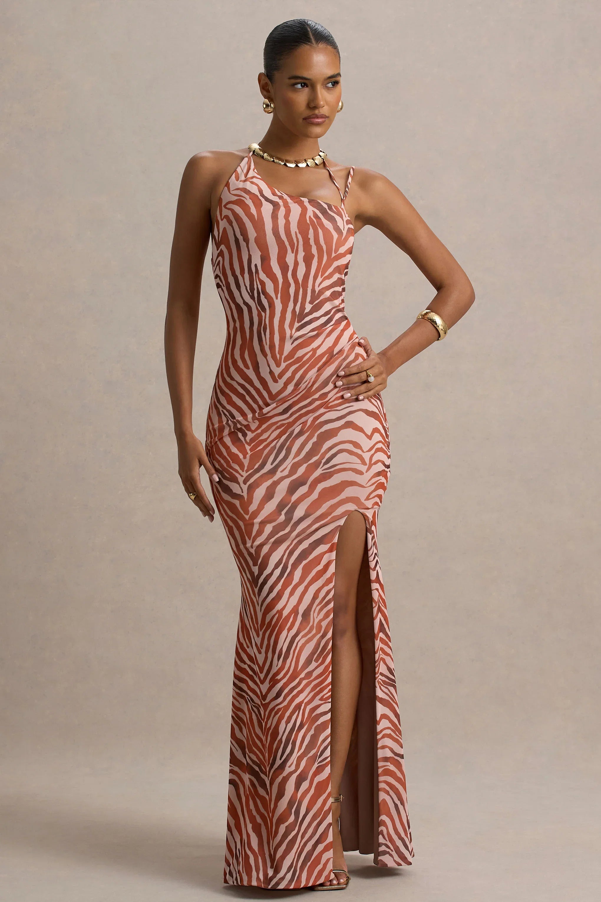 Florica Zebra Print Mesh Asymmetric Maxi Dress With Split