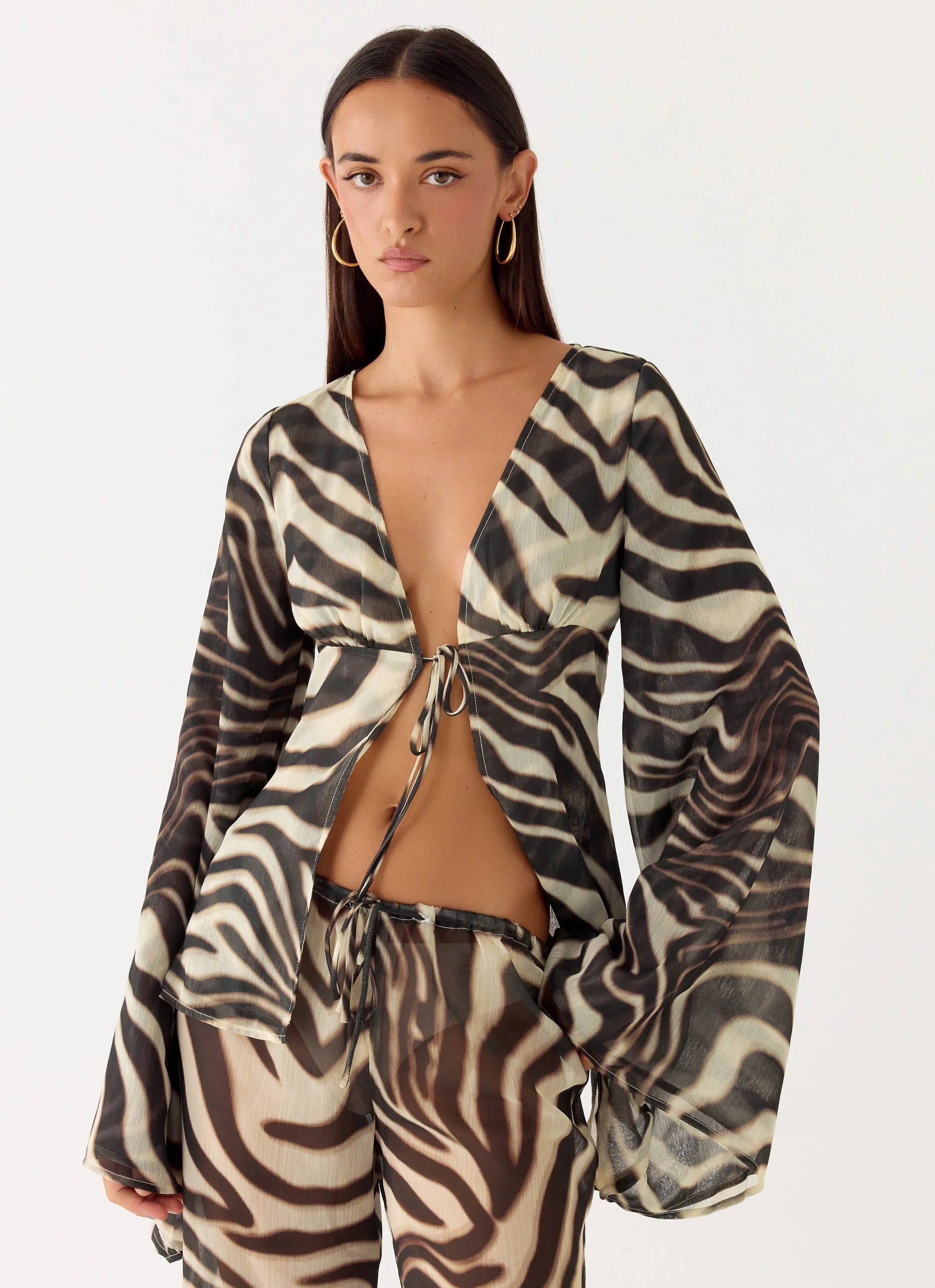 Chaty Top Zebra