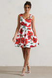 Alia Poppy Print Scoop Neck Tiered Volume Hem Mini Dress