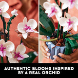 LEGO Botanicals Orchid Artificial Fake Indoor Flowers Building Set for Home Kitchen Desk Decoration Adults Ages 18 Gift for Birthdays 10311