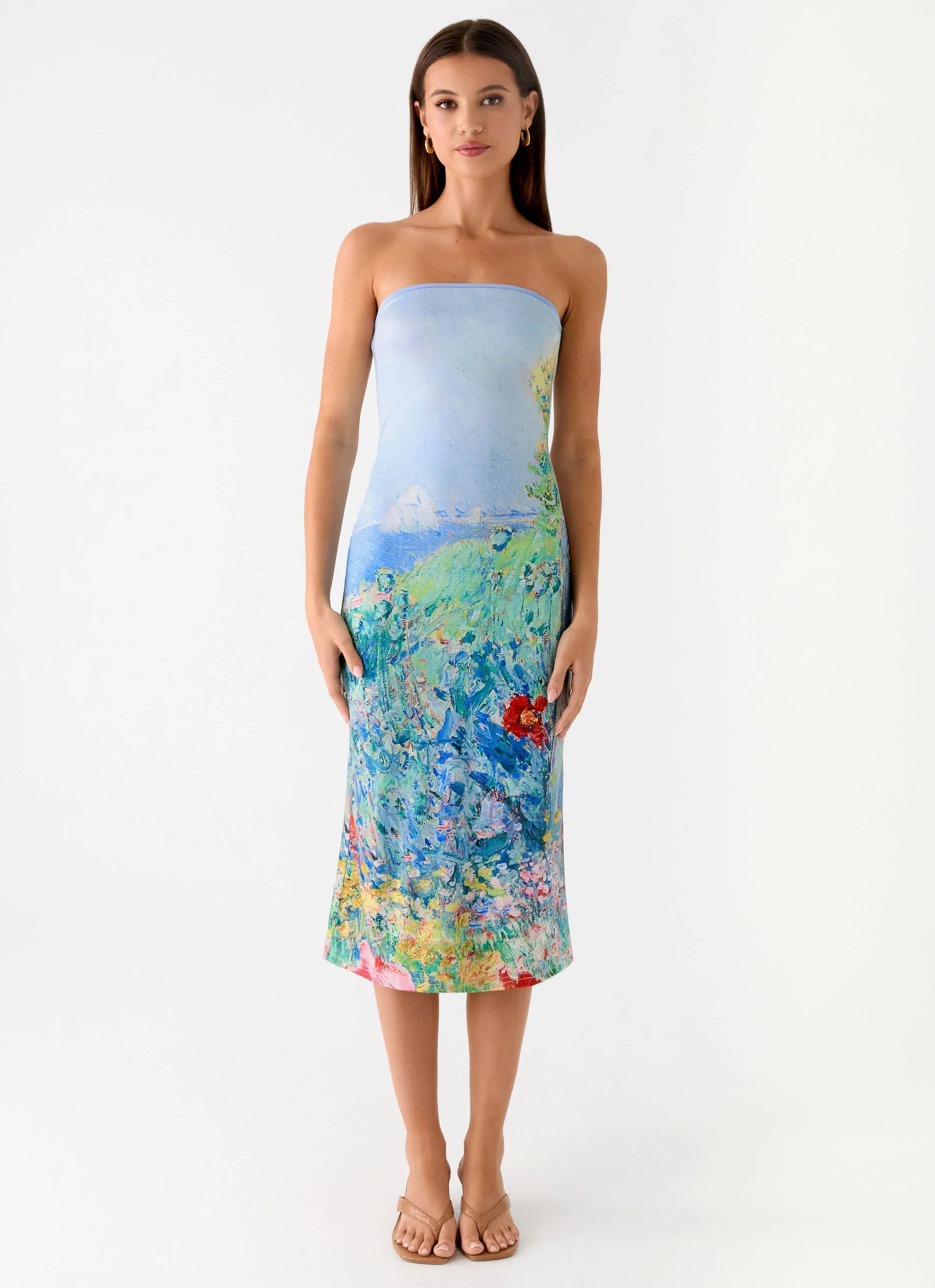 Niko Strapless Midi Dress Spring Garden