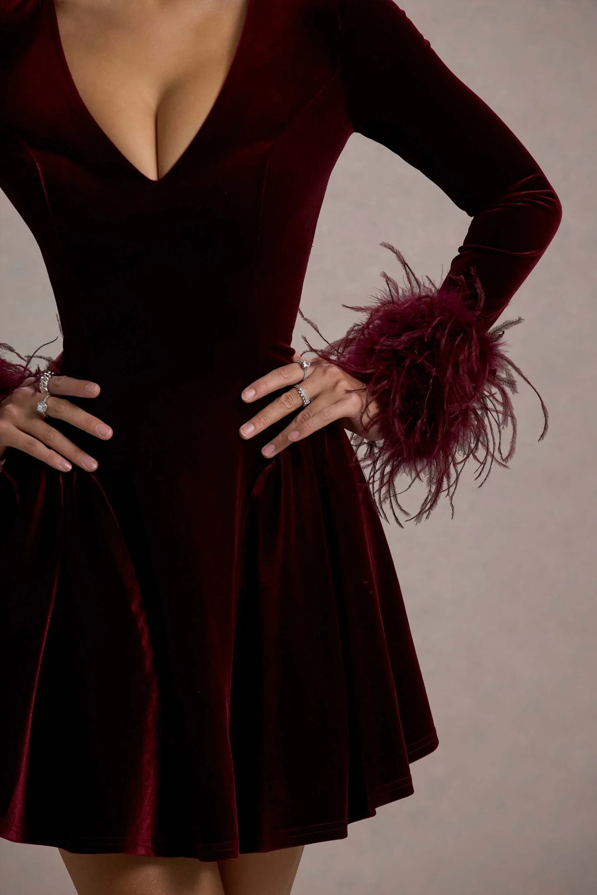 Pasilla Port Velvet Plunge Neck Feather Trim Mini Dress