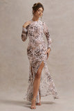 Tigerlily Leopard Print Mesh Long Sleeve Open Back Maxi Dress