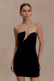 Paulina Velvet Strapless Mini Dress Black