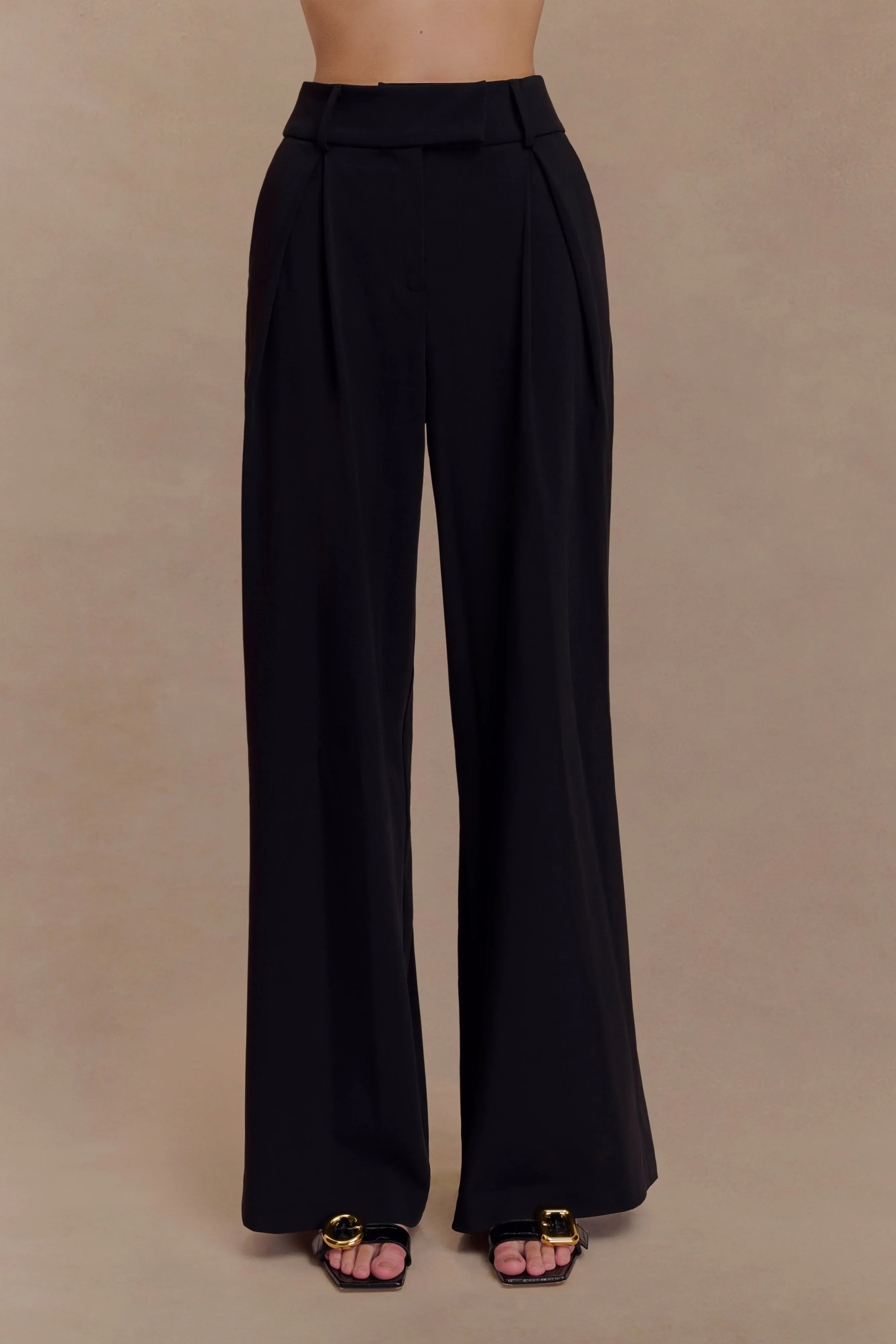 Jacqueline Pleated Wide Leg Pants Black