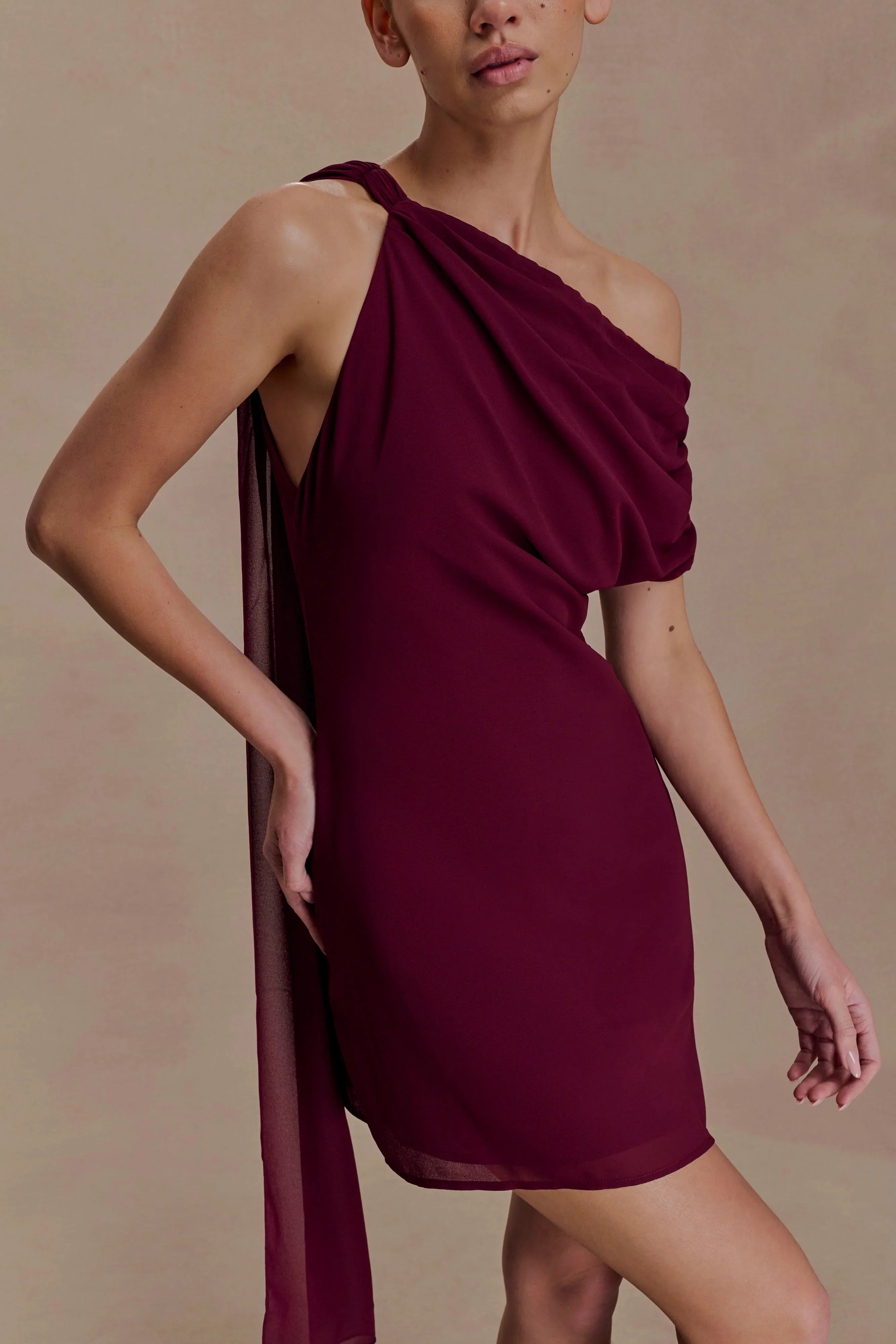 Daisie Chiffon Mini Dress Wine