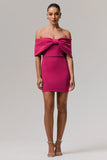 Sadie Hot Pink Bow Bardot Mini Dress