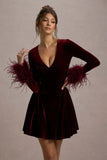 Pasilla Port Velvet Plunge Neck Feather Trim Mini Dress