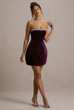 Naia Port Velvet Embellished Bandeau Mini Dress