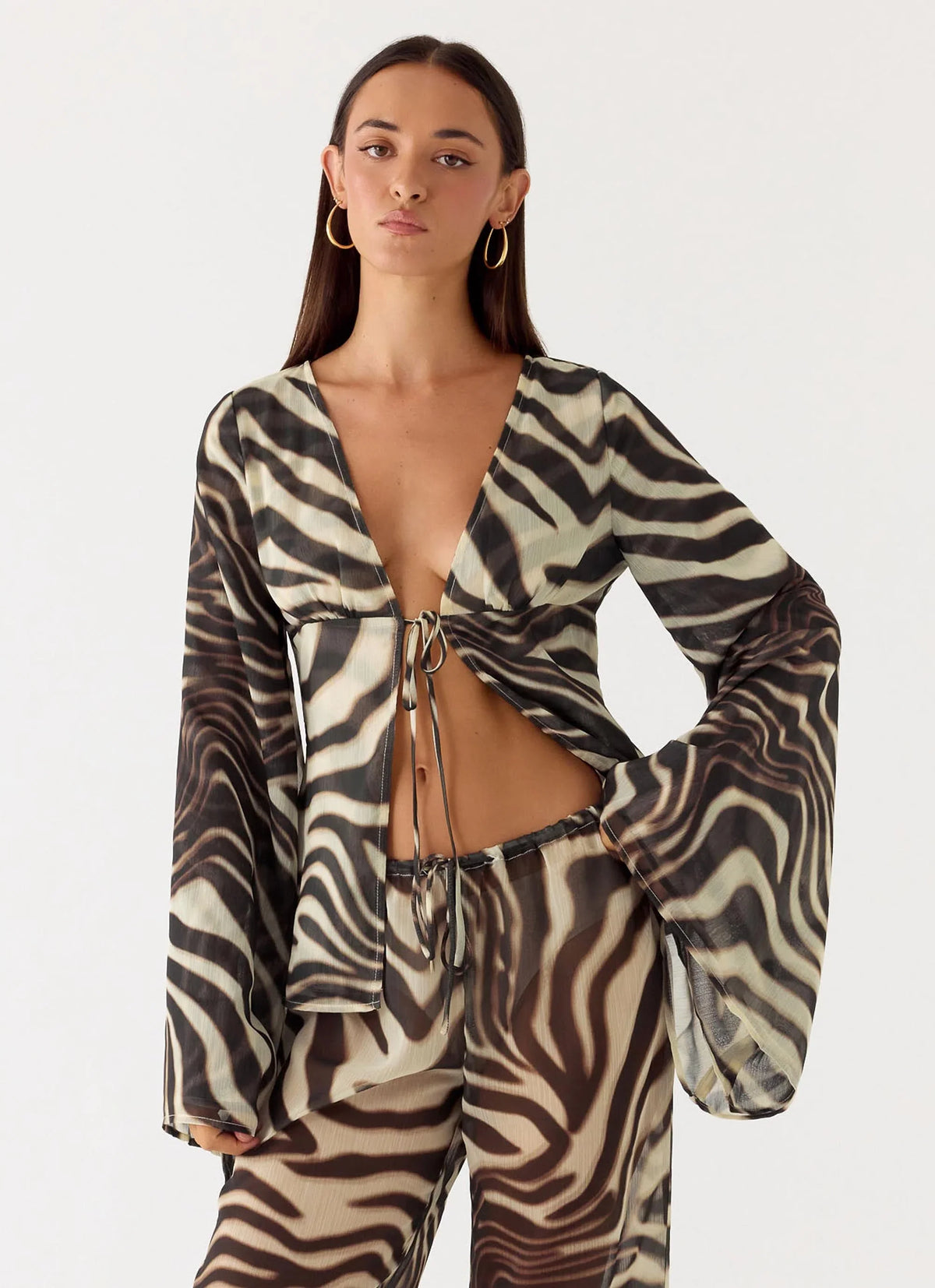 Chaty Top Zebra