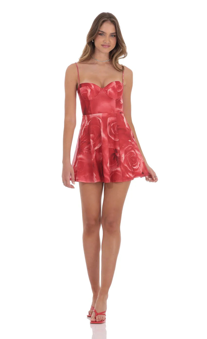 Rose Mesh Corset A line Dress in Red