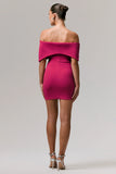 Sadie Hot Pink Bow Bardot Mini Dress