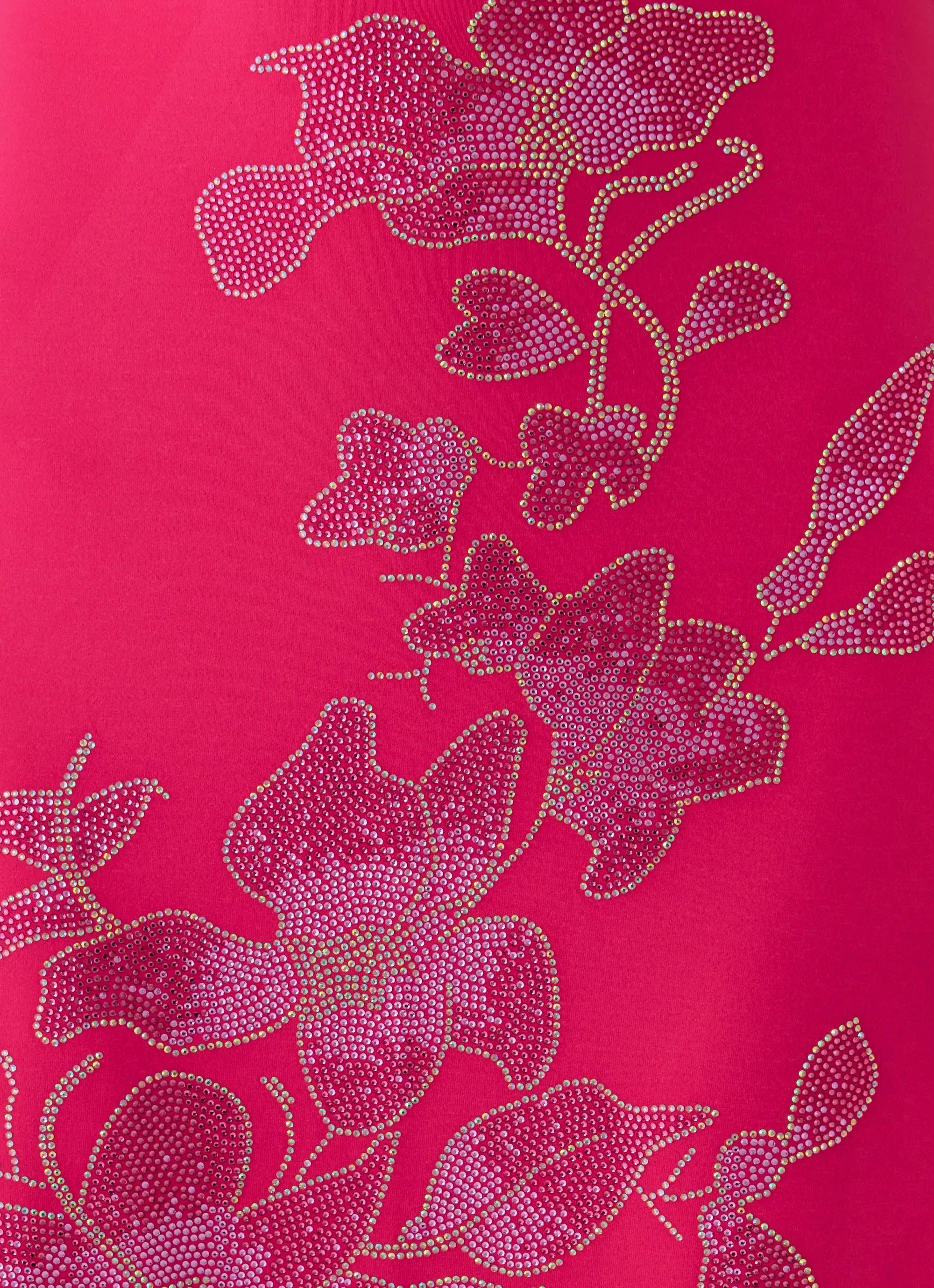 Carmine Embellished Maxi Dress Fuchsia