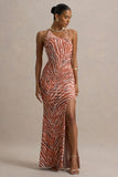 Florica Zebra Print Mesh Asymmetric Maxi Dress With Split