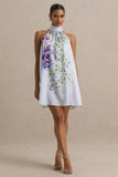 Evita Powder Blue Rose Print High Neck A Line Mini Dress With Bow