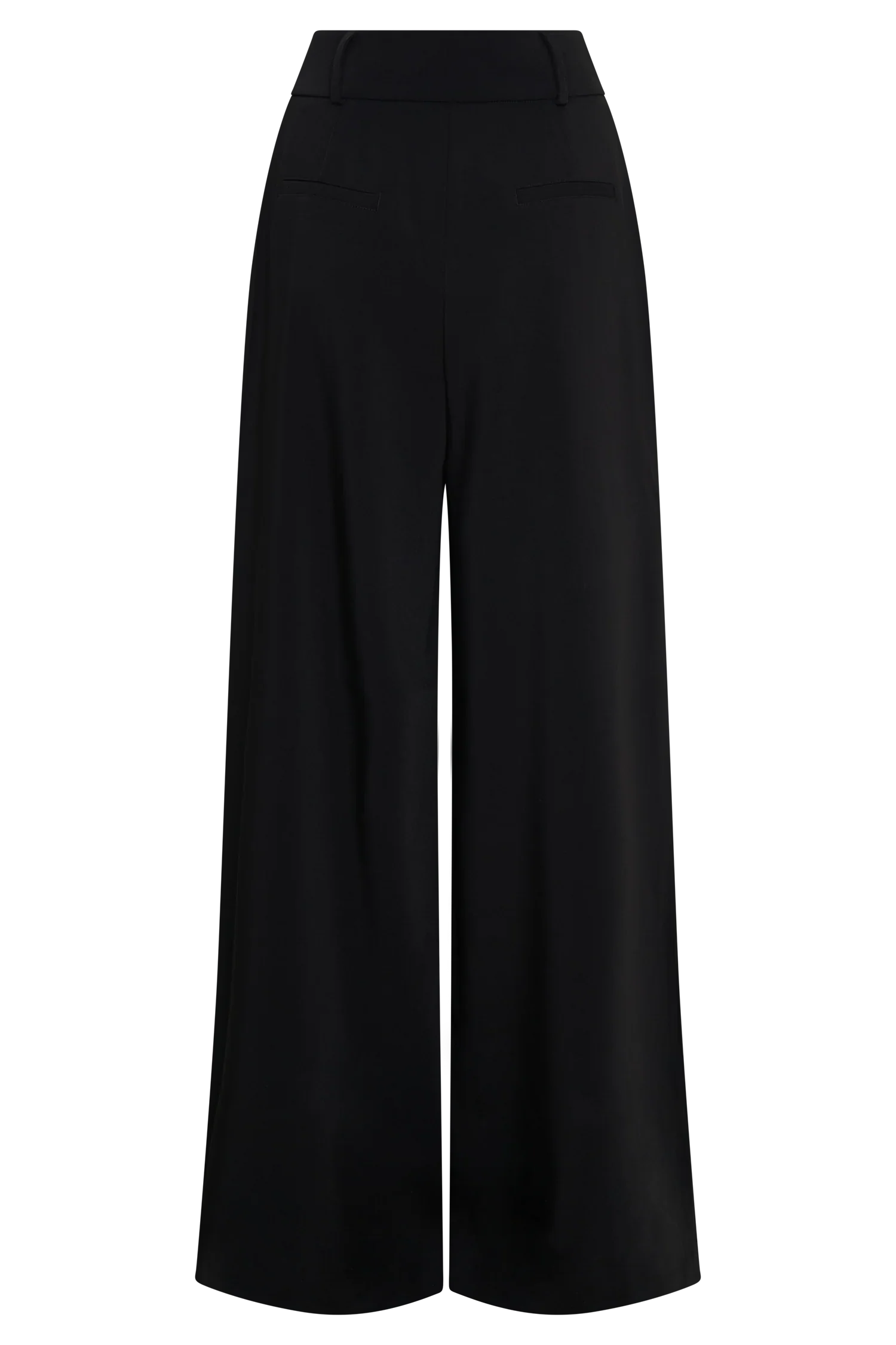 Jacqueline Pleated Wide Leg Pants Black