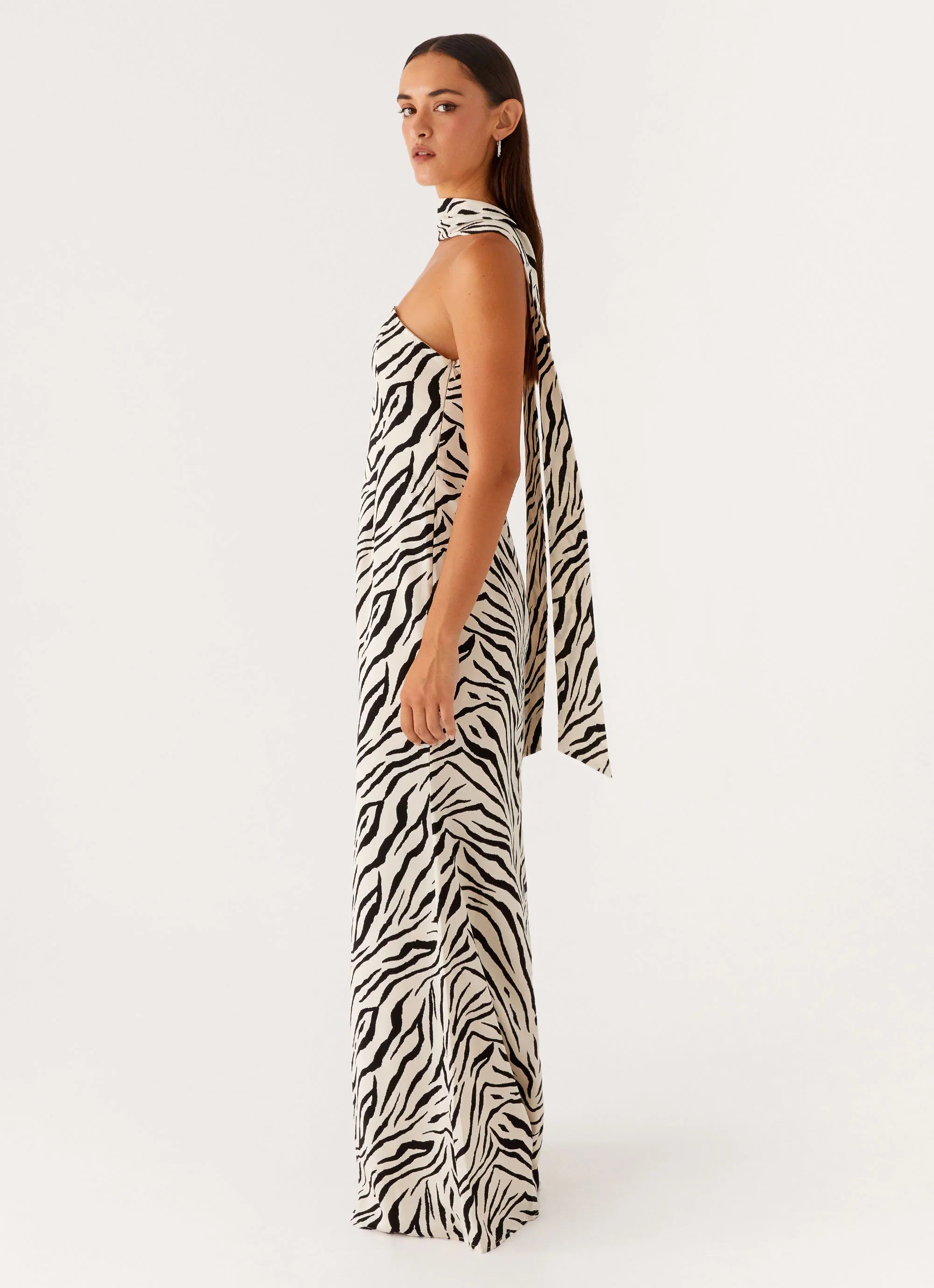 Jigsaw Strapless Maxi Dress Zebra