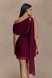 Daisie Chiffon Mini Dress Wine