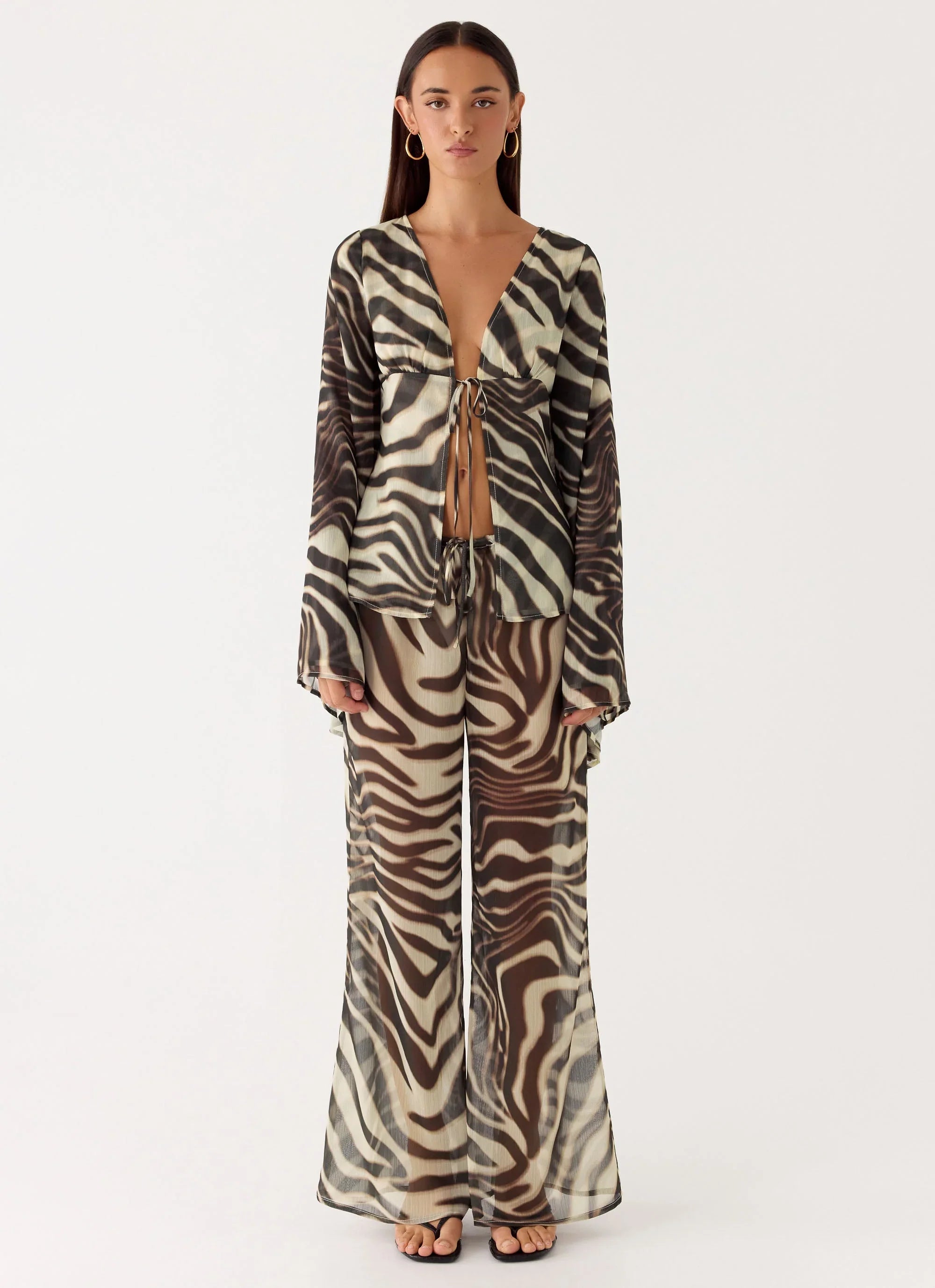 Chaty Top Zebra