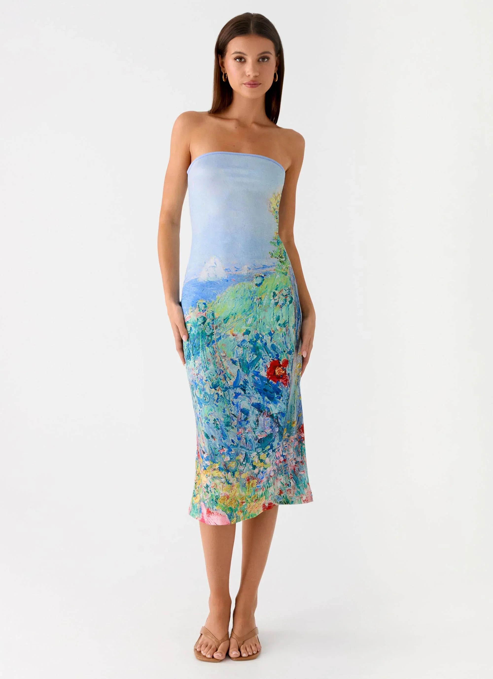 Niko Strapless Midi Dress Spring Garden