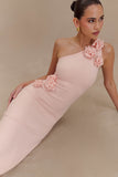 Paloma One Shoulder Knit Maxi Dress With Flowers Baby Pink