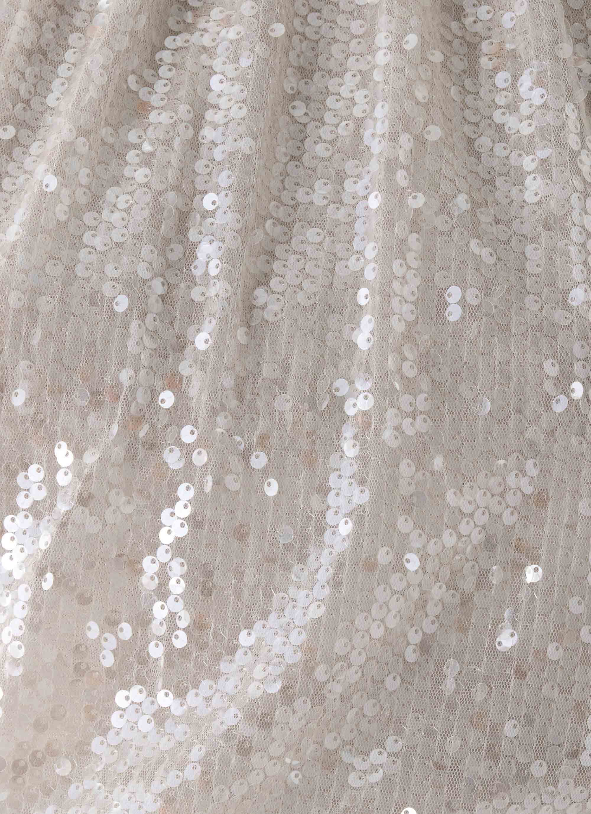 Willow Sequin Top Silver